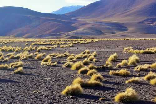 TREKKING NEL DESERTO DI ATACAMA 2015